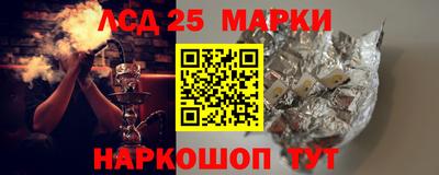 гидра Будённовск