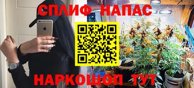 гидра Будённовск
