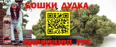 гидра Будённовск