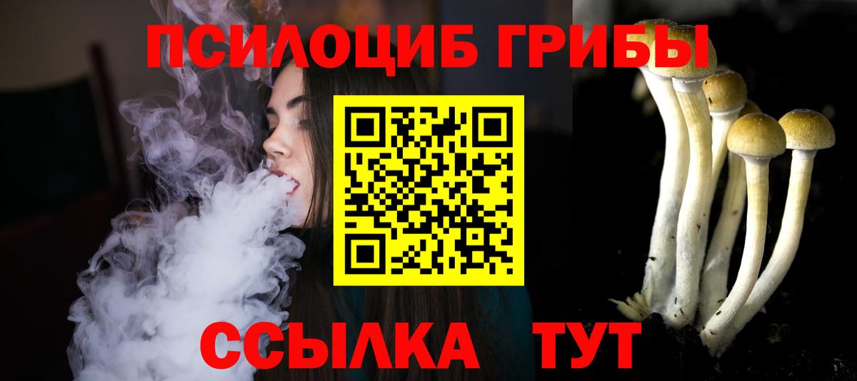 Псилоцибиновые грибы мицелий  Галлюциногенные грибы GOLDEN TEACHER  Вход с VPN  Советск 